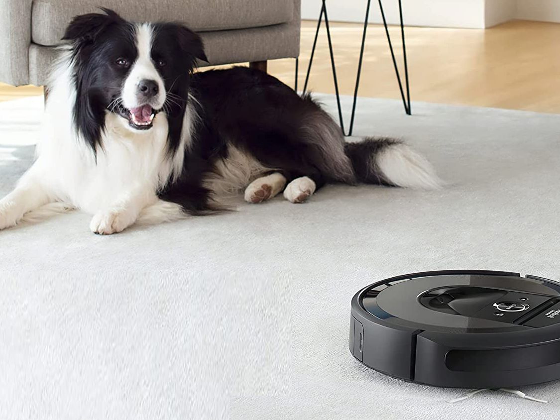 Roomba robottolmuimeja ja koer