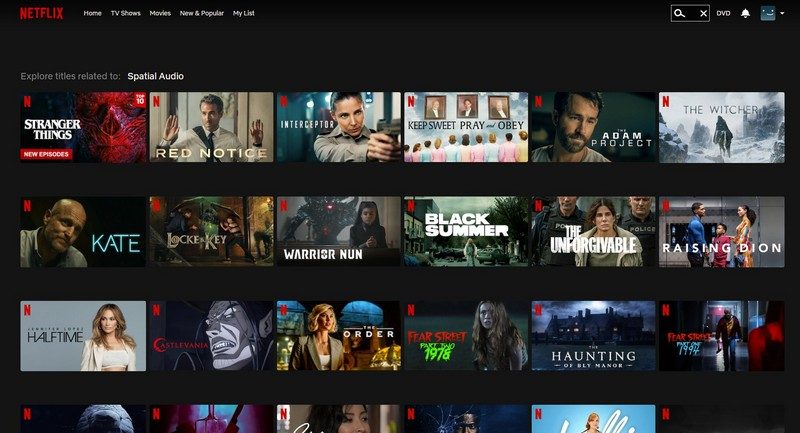 3374-3353-netlix_spatil_thumb.jpg