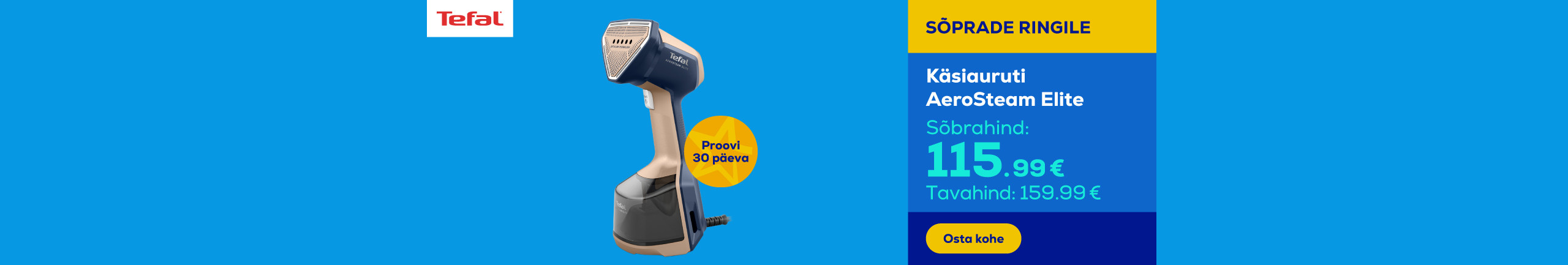 Handheld steamer AeroSteam Elite