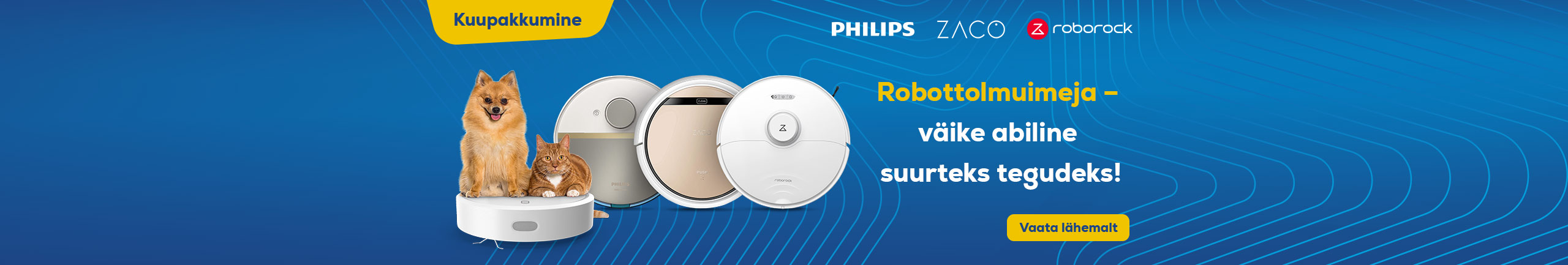 Small helper ready for big work - discover robot vacuum cleaner