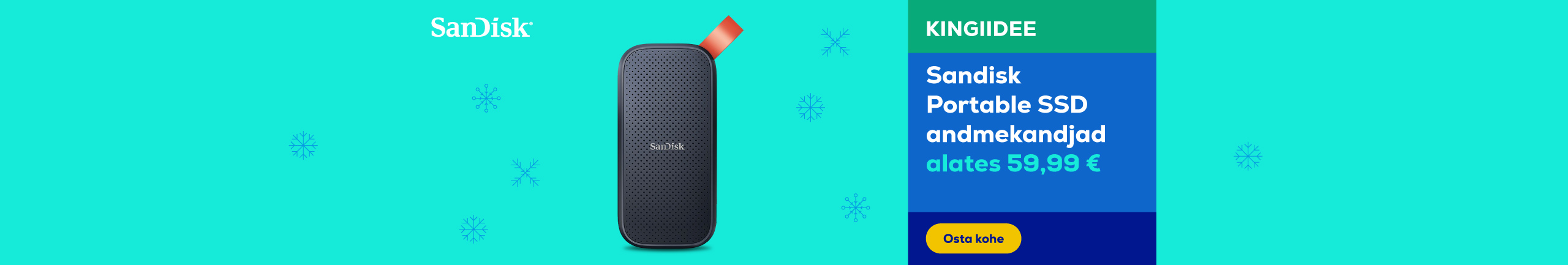 SanDisk Portable SSD