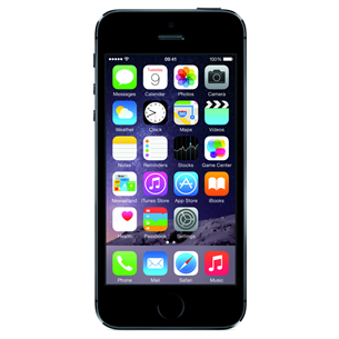 iPhone 5S + EU-адаптер, Apple / 16 ГБ