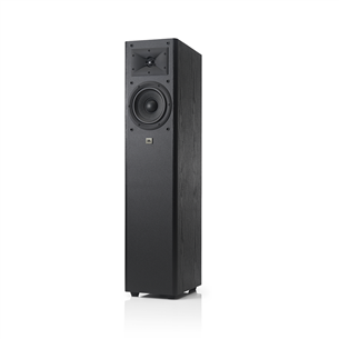 Floorstanding speaker JBL Arena 170