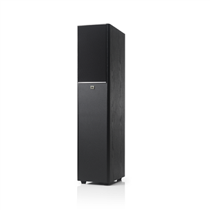 Floorstanding speaker JBL Arena 170