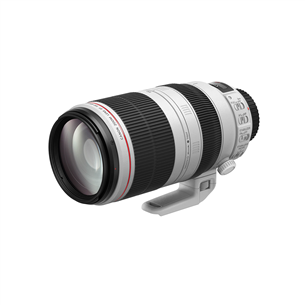 EF 100-400mm f/4.5-5.6L IS II USM lens, Canon