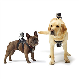 Seikluskaamera koera rakmed Fetch, GoPro
