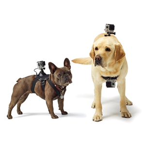 Adventure camera dog harness Fetch, GoPro