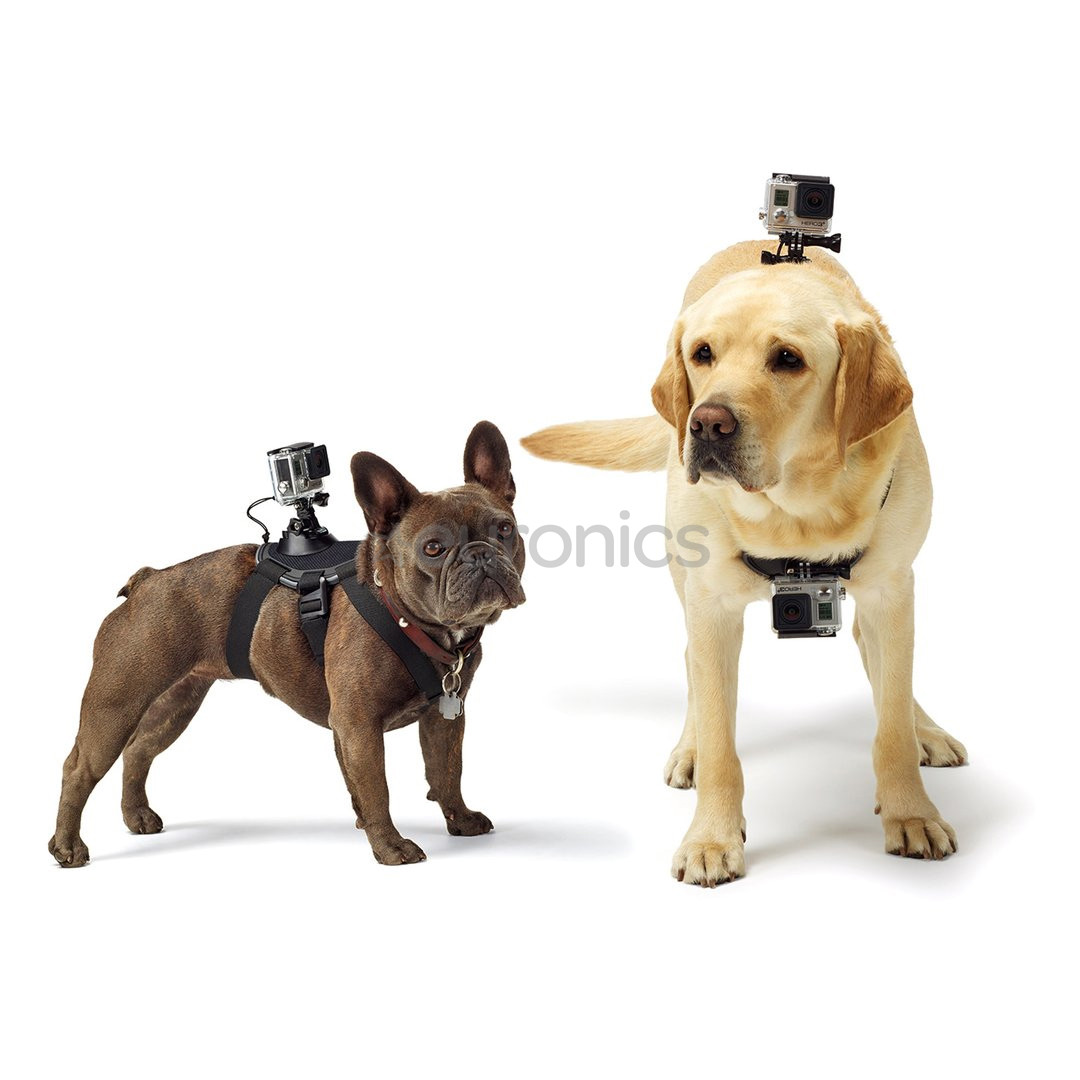 Seikluskaamera koera rakmed Fetch, GoPro