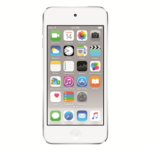 Apple iPod Touch 6 (32 GB)