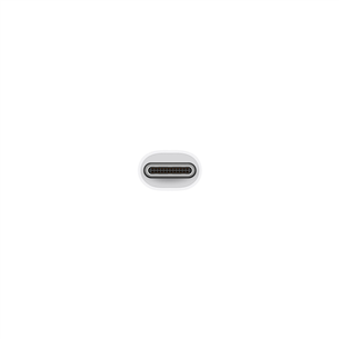 Adapter USB-C VGA Multiport Apple