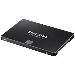 SSD 850 EVO, Samsung / 250 GB