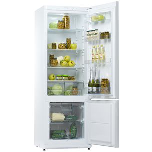 Refrigerator Snaige (176 cm)