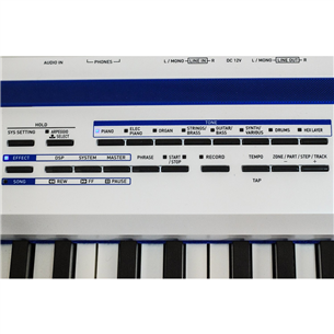 Digitaalne klaver Casio Privia Pro PX-5S