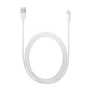 Кабель USB-A - Lightning Apple (2 м) MD819ZM/A