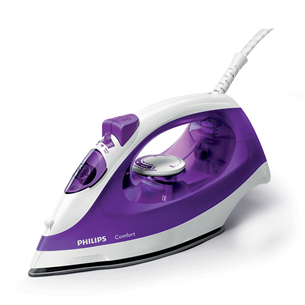 Steam iron Philips