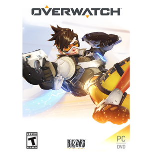PC game, Overwatch