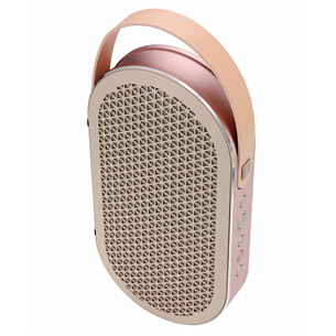 Wireless portable speaker Dali Katch