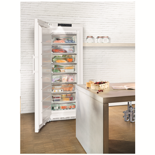 Freezer Liebherr (360 L)