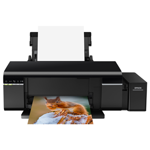 Цветной струйный принтер Epson L805 WiFi C11CE86401