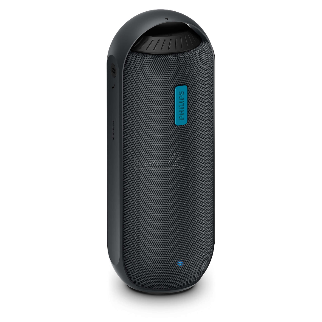 Kaasaskantav kõlar Philips BT6700B