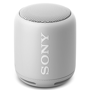 Беспроводная портативная колонка Sony SRS-XB10