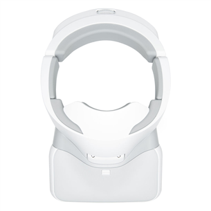 DJI Goggles