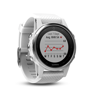 Мультиспортивные часы, FENIX 5S, Garmin