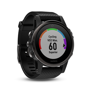 GPS watch Garmin FENIX 5S Sapphire