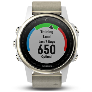 Мультиспортивные часы Garmin FENIX 5S Sapphire