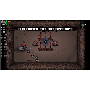 Switch game The Binding of Isaac: Afterbirth