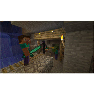 PS4 game Minecraft