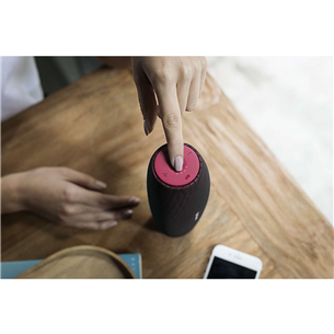 Portable speaker Philips EverPlay