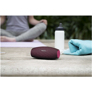 Portable speaker Philips EverPlay