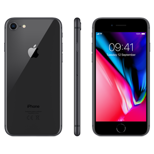 Apple iPhone 8 (256 GB)