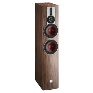 Floor standing speaker DALI RUBICON 6