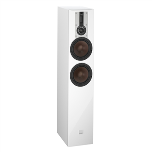 Floor standing speaker DALI RUBICON 6