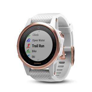 Мультиспортивные часы FENIX 5S Sapphire, Garmin