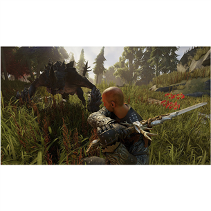 PS4 game Elex