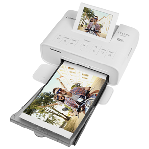 Canon Selphy CP1300, WiFi, white - Photo Printer