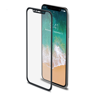 iPhone X ekraanikaitseklaas Celly