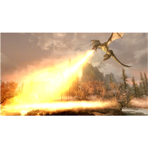 Switch game The Elder Scrolls V: Skyrim