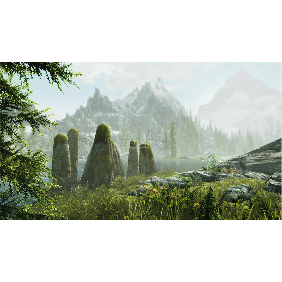 Switch mäng The Elder Scrolls V: Skyrim