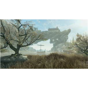 Игра для Nintendo Switch, The Elder Scrolls V: Skyrim