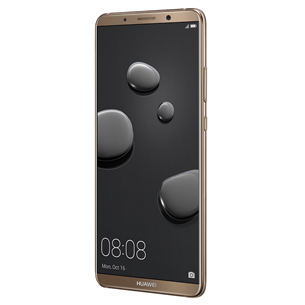 Nutitelefon Huawei Mate 10 Pro Dual SIM