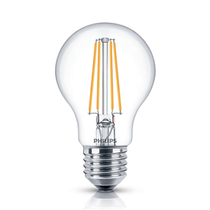 LED lamp Philips E27 (2 pcs)