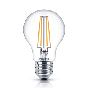 LED lamp Philips E27 (2 tk)