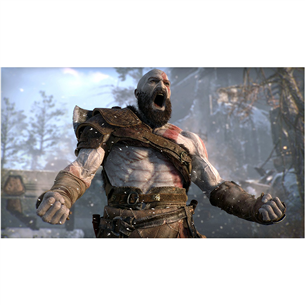 PS4 game God of War