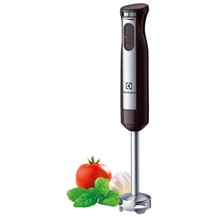 Hand blender, Electrolux