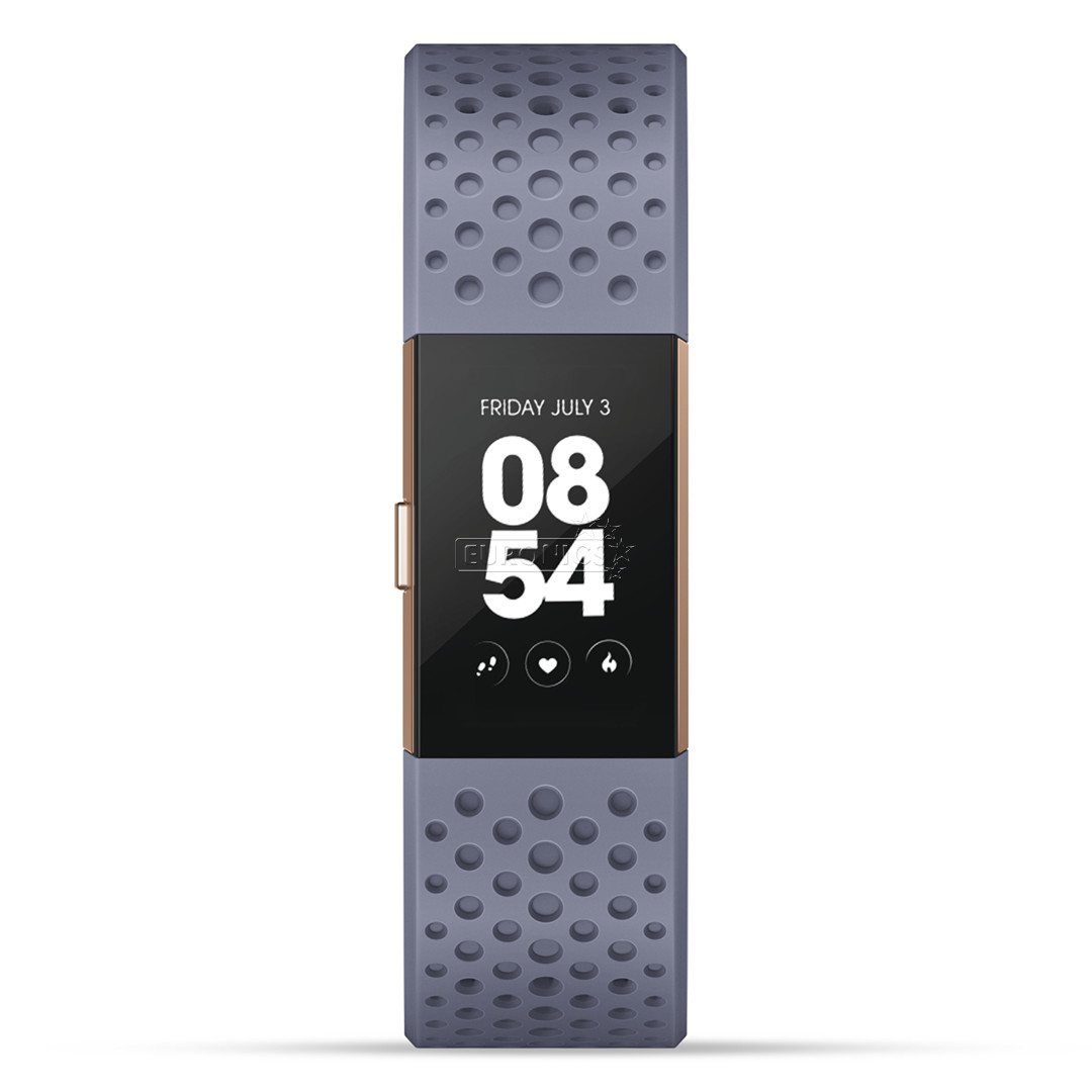 Activity tracker Fitbit Charge 2 Special Edition (S)