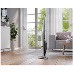 Vacuum cleaner UltraPower, Electrolux